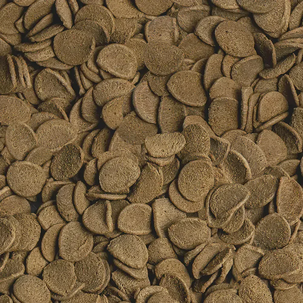 Sera Vipachips Wafers 10 l 