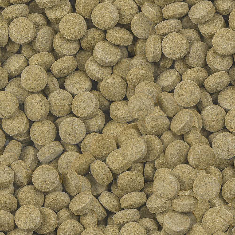 Sera Viformo Pleco Tabs 2 200 ml