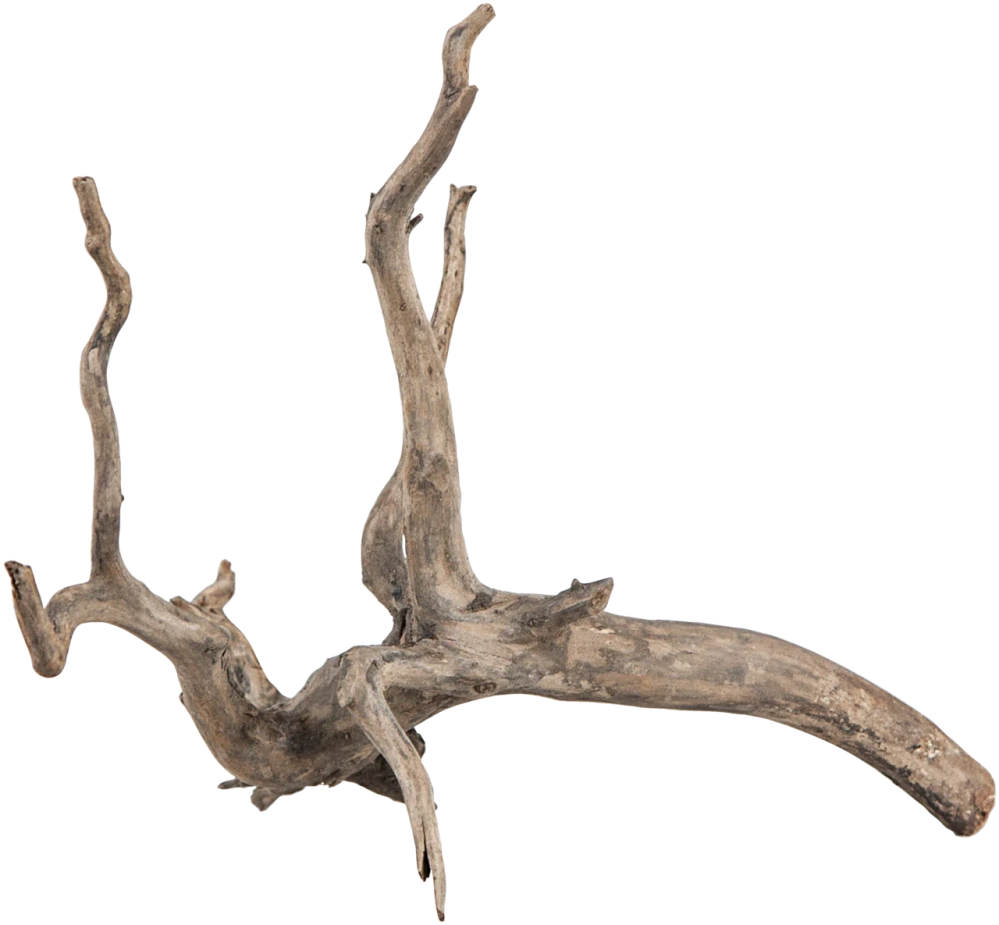 Sera Scaper Root XS 18 - 20cm