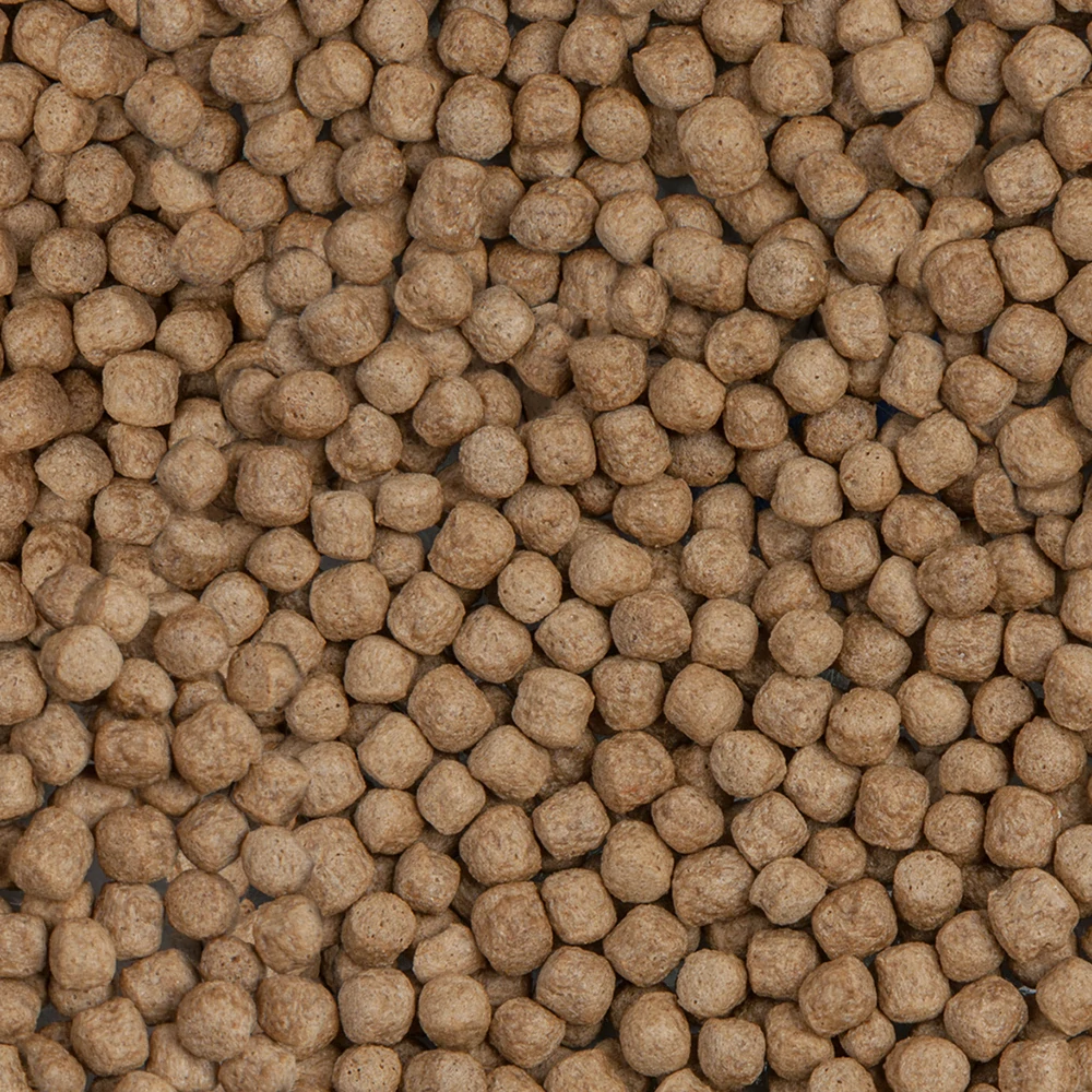 Sera Koi Royal Large 1 l