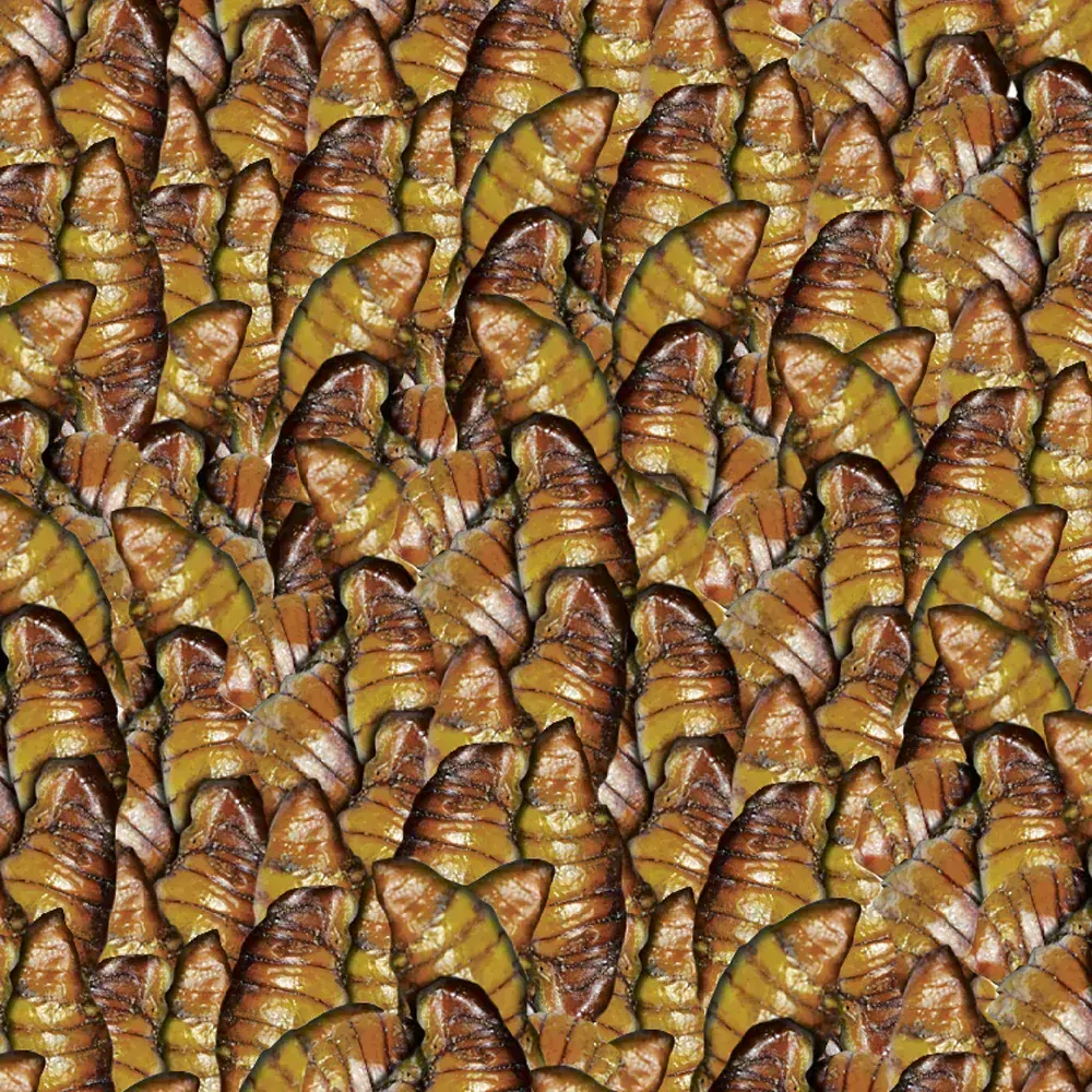Sera Koi Silkworm 1 l