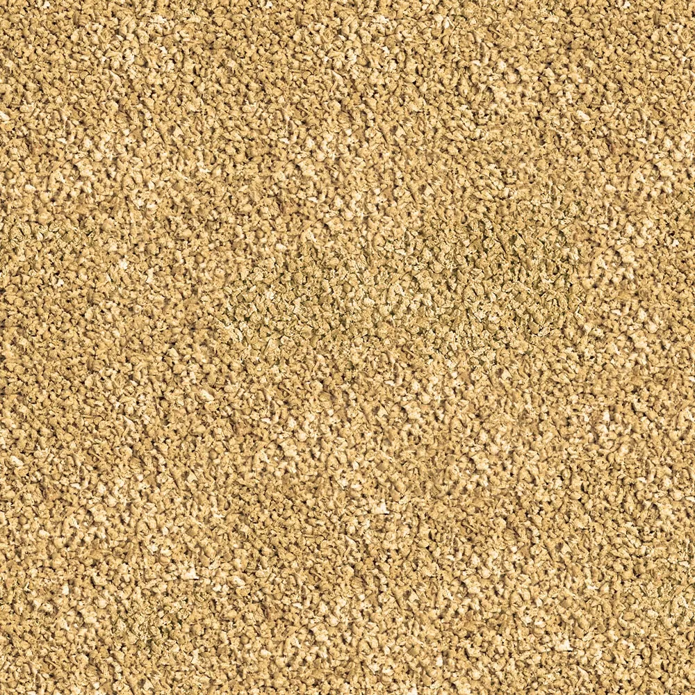 Sera Betta Granules 10g