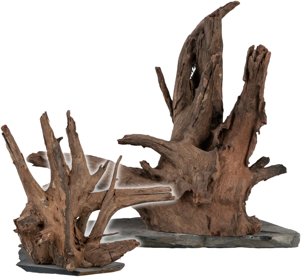 Sera Scaper Wood 30 - 35cm