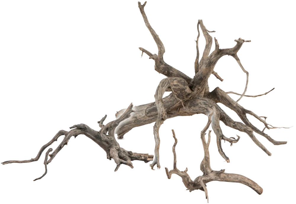 Sera Scaper Root M 30 – 35cm