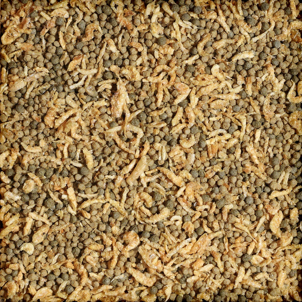 sera Bearded Dragon Baby Growth Mix 250ml
