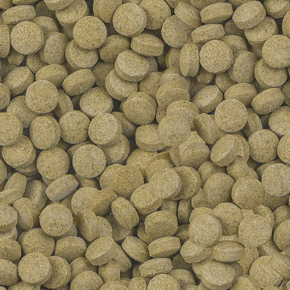 Sera Viformo Pleco Tabs 50ml