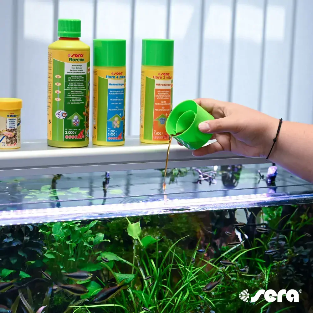 Sera florena 50ml