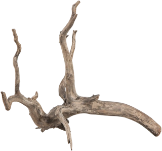 Sera Scaper Root XS 18 - 20cm