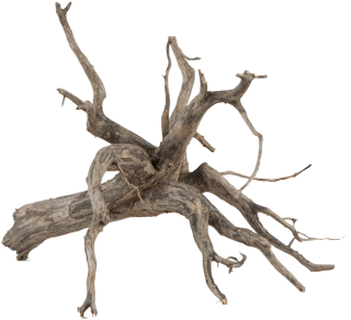 Sera Scaper Root M 30 – 35cm