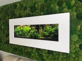 Designové nástěnné akvárium ŽIVÝ OBRAZ Bílá barva