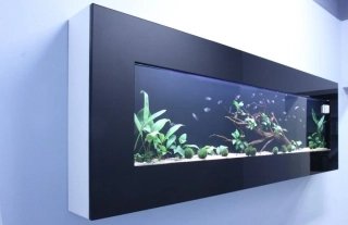 Designové nástěnné akvárium ŽIVÝ OBRAZ Černá barva