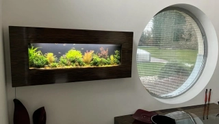 Designové nástěnné akvárium ŽIVÝ OBRAZ Jiná barva