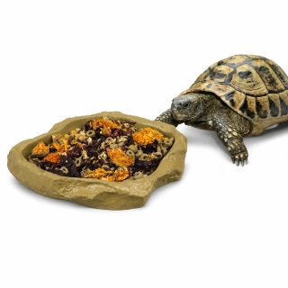 Sera reptil food/water dish M miska